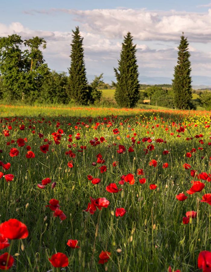 Una vacanza tra benessere e natura
